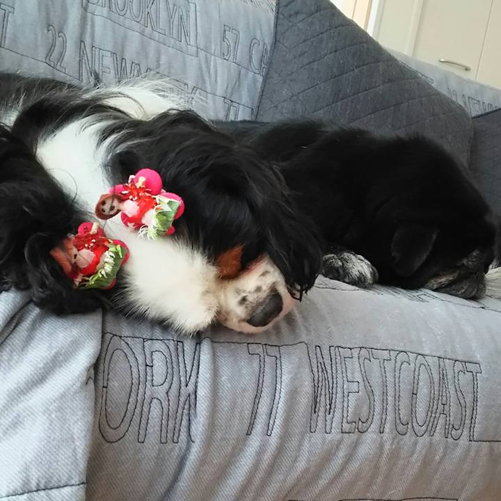 Dd67a29b 8942 4d6b bde2 2871a7387944 1524478799077