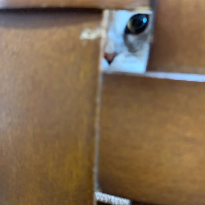 Dd67a533 b0bb 48a2 a422 26f734938894 1708822381989