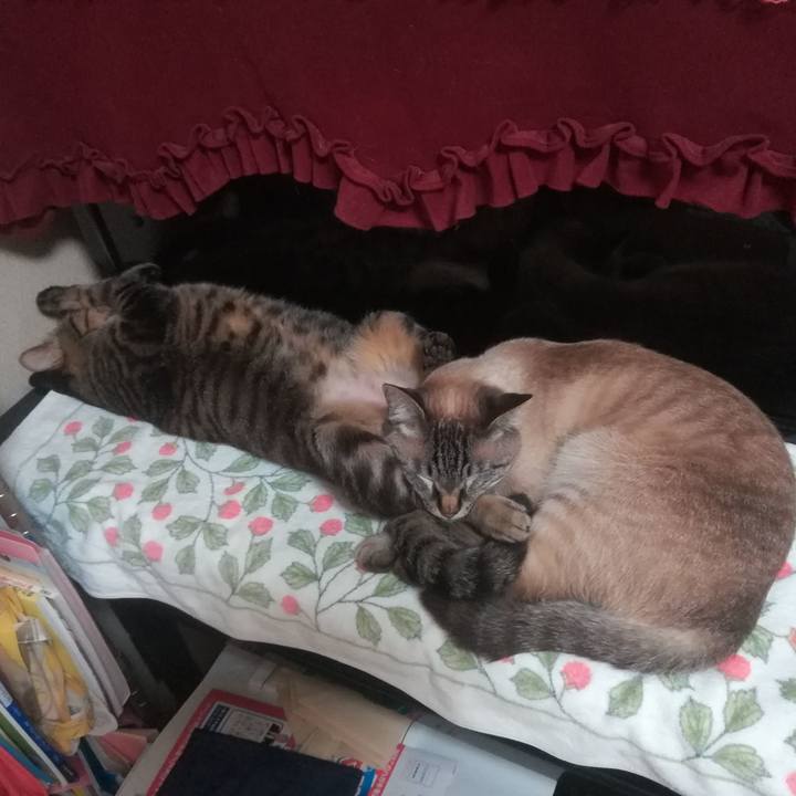 Dd67b331 ace6 4dc1 ba2a 45ddd5419ca7 1560769407566