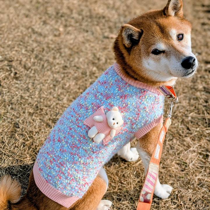 Dd67cd2e d682 43d6 9c78 25283796f005 1768473762661