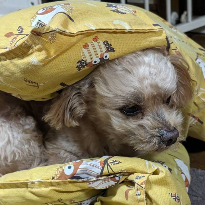 Dd67cfbb d800 4fd3 9cbf 33bd808015f2 1707561529869