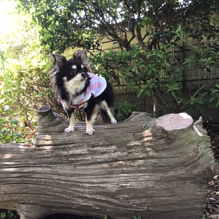 Dd67eda4 8eb1 49de 89e5 782c273b278c 1558668661174