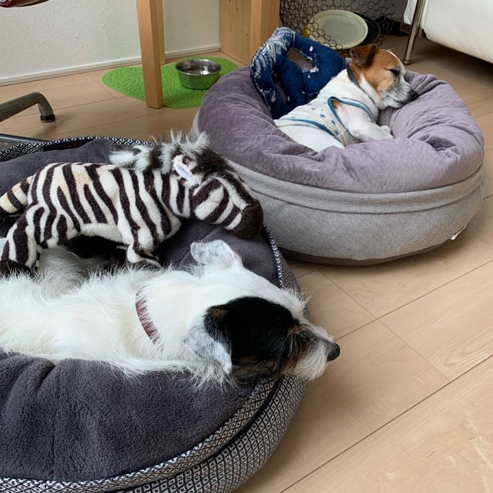 Dd67f906 1110 47dd 97e4 57b1bb12d06b 1631846886672