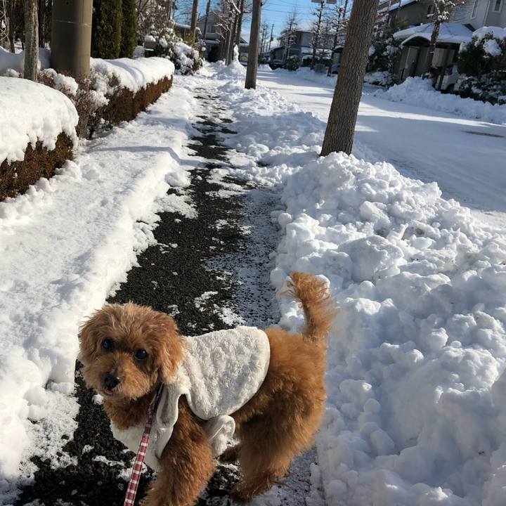 Dd680d95 0c57 426e 8439 3cc469cfbbb1 1608257509865