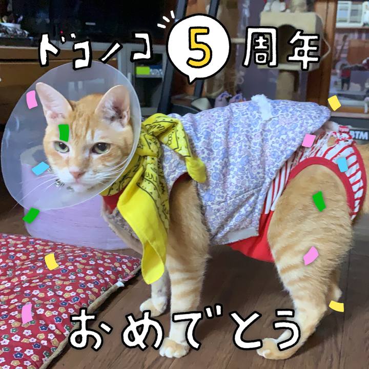 Dd6812ca 65f4 44ca 8c3c 95beefd6e5da 1622911620937