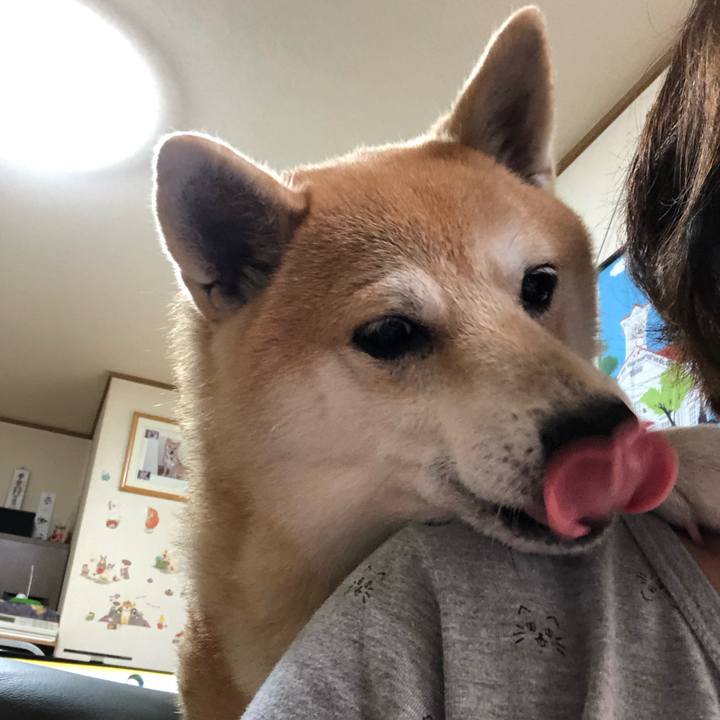 Dd6821dd 38fc 4ea6 b11c c5973a708ee2 1563841942175