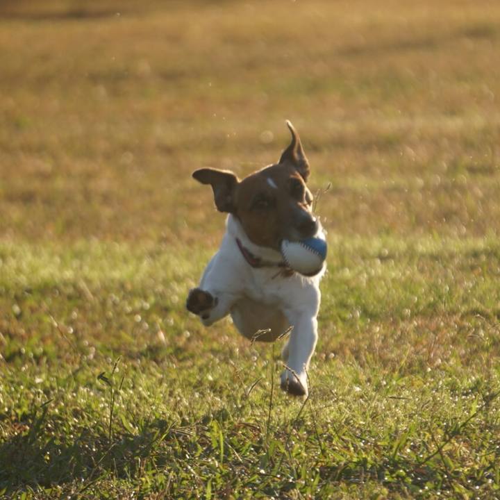 Dd685e7b d186 44b2 bc6b 9871e59ec7db 1541112351055