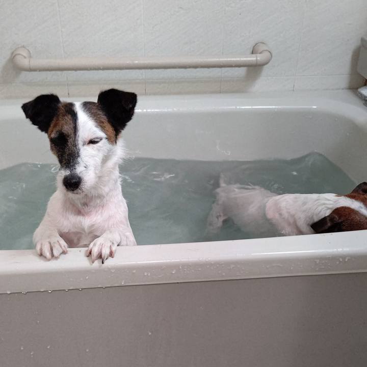 Dd68701e 3568 476f b06f 508fb331743e 1621758472943