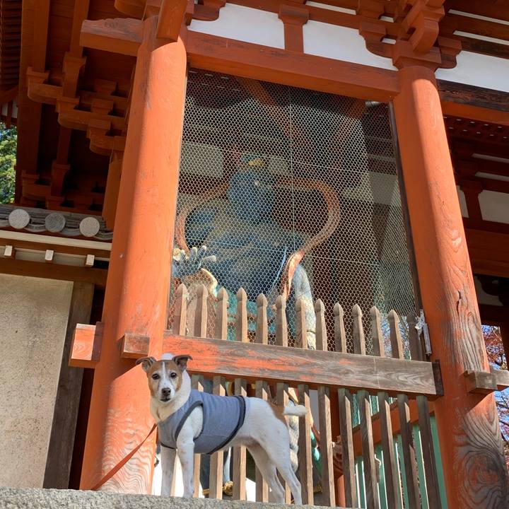 Dd687c69 13b6 4c49 b260 a1657f08cc84 1575299692516