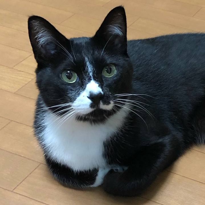 Dd68ab6a c060 48ef b88b 0146a642e9ed 1567219410385