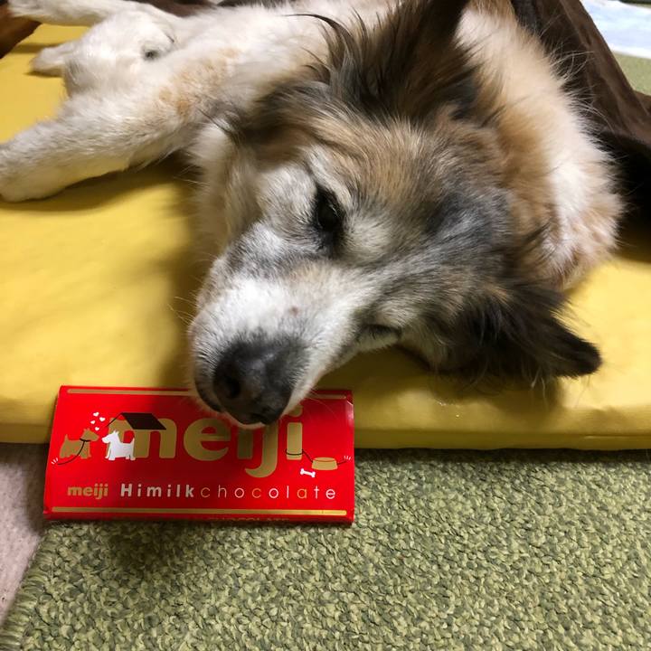 Dd68d44d aff5 428a a86a efd559922c9f 1549715811622