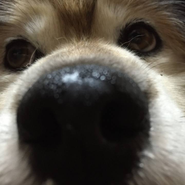 Dd6915db c4bd 41c7 b85c 9d296e8895a8 1585619095240