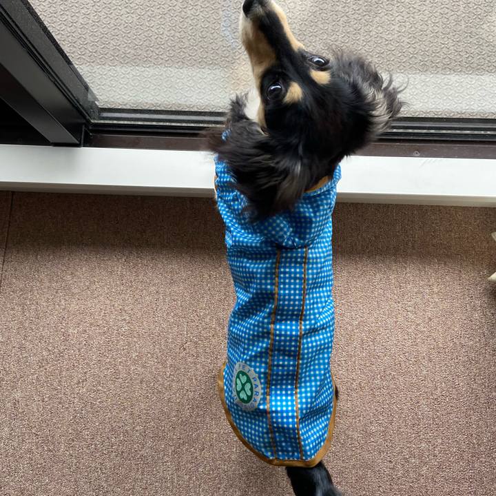 Dd691657 173c 4a17 b340 4379c7c4f52a 1679544675412