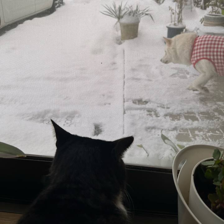 Dd6922b8 2f78 4a7e b48d ae13b36e5d89 1769125110966