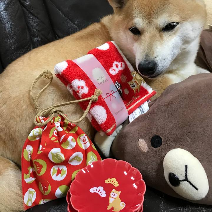 Dd6935c3 59bf 44b2 8d45 9537db229f53 1512621409482