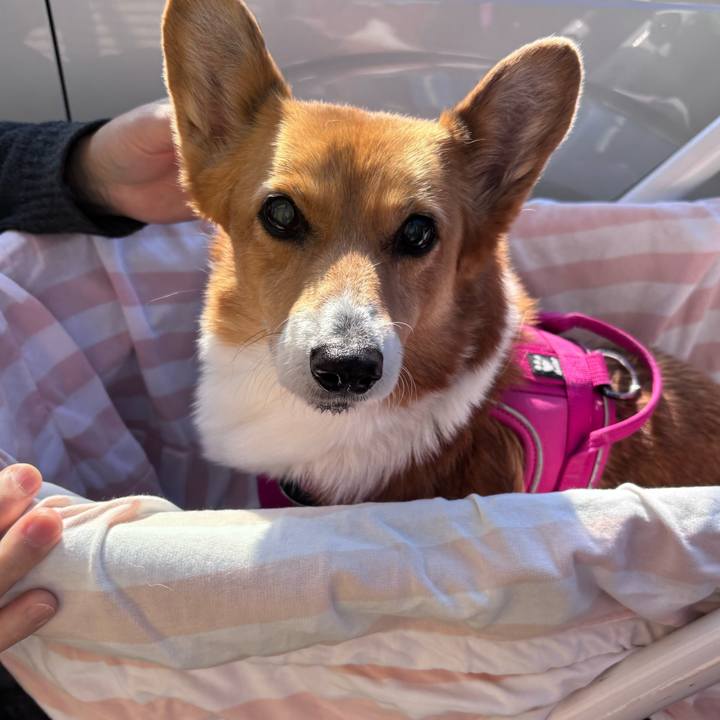 Dd69573c e13d 4d66 89f5 ab20805835e4 1737871437952