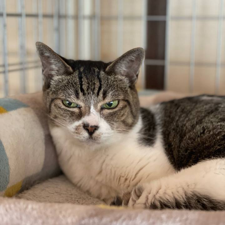 Dd695b80 5017 485e 93b5 ba1962d43672 1660864750419