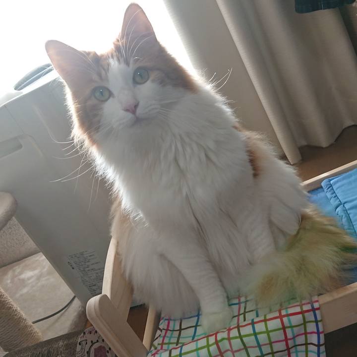 Dd696994 0651 4639 9bb3 85bb790dd42d 1545788016341