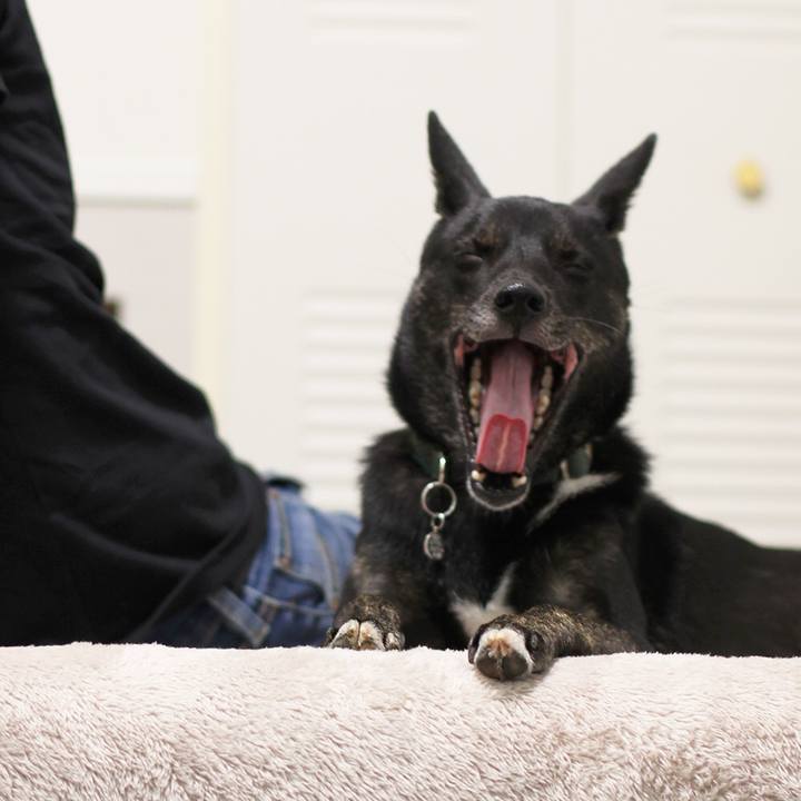 Dd696c05 e64e 40f5 902c 795f18e6c3ca 1538178345148