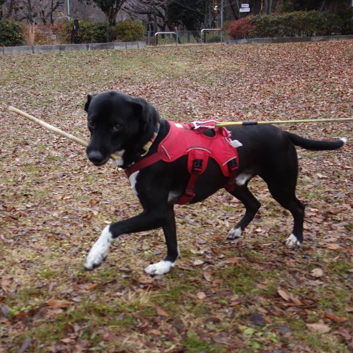 Dd69732f 4f65 4941 a7a7 eab89c940b61 1609287795097