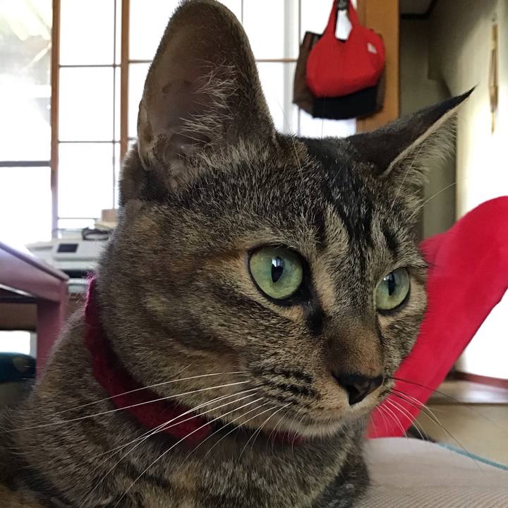 Dd698522 7430 404d 90b2 970da373b169 1598412763052