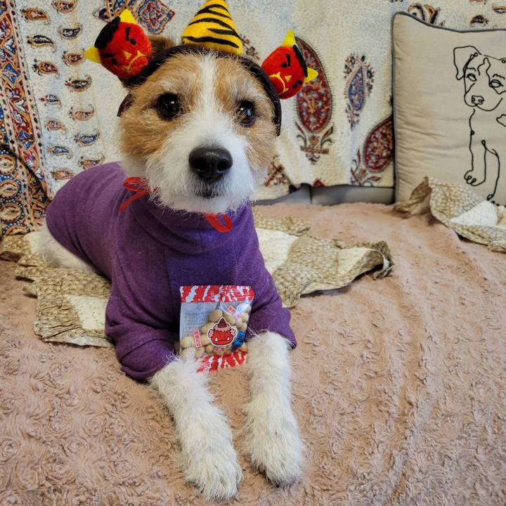 Dd698530 778b 45a0 9aa0 45eccee9bd3c 1675401534509