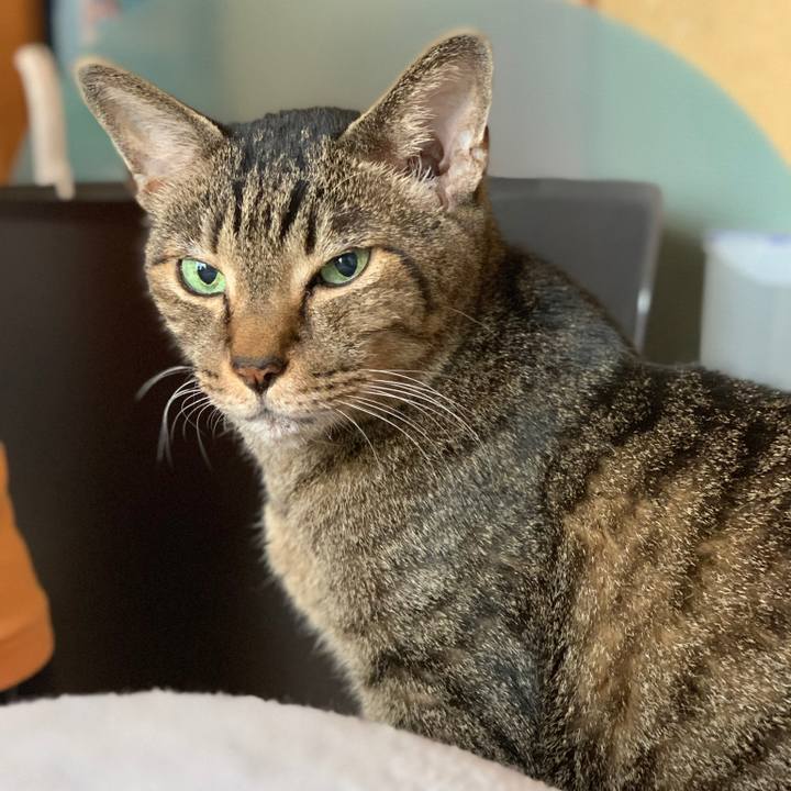 Dd69b177 6b2c 4314 9bec 990c32fe20e0 1572138612056