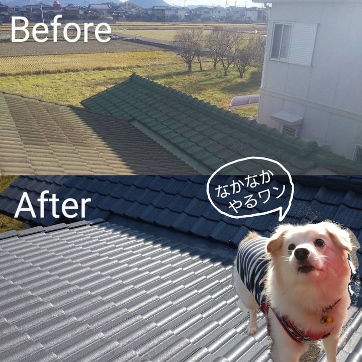 Dd69b1d2 f464 4328 901f 0188b30e9e63 1642326465193