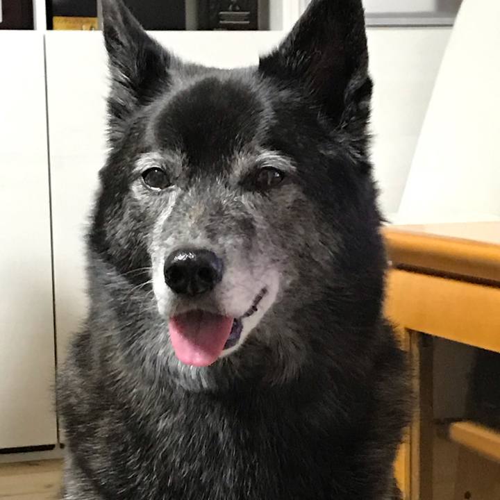 Dd69b26c 86f0 4328 a143 dfc49d7473a1 1619829155038