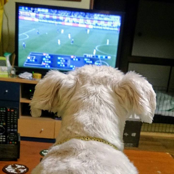 Dd6a12b3 13b9 4a96 9e6c 09d0f4d04ad1 1527676883106