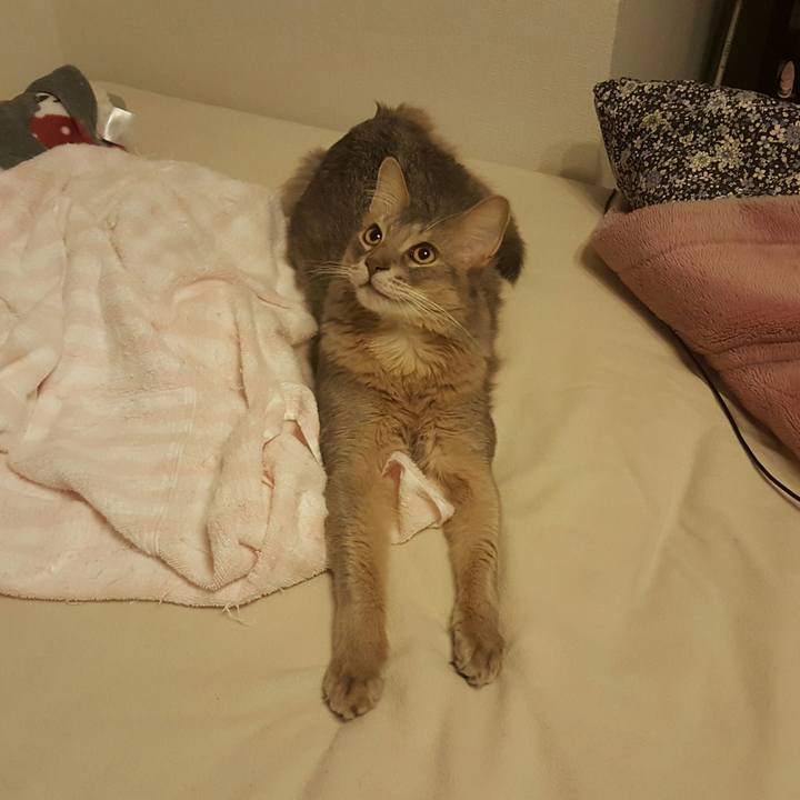 Dd6a144c 2f88 4e07 a30f 1c5c6a01fe31 1521725523337