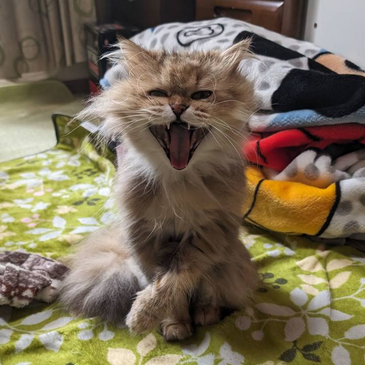 Dd6a18f5 3811 4b38 8798 a1f1af569dff 1716368489206