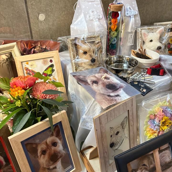 Dd6a1e04 ea7c 460e 88ce 5e5beb87e291 1761447329250