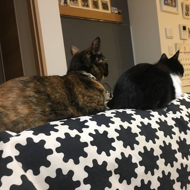 Dd6a3a9d 51ac 40ed 844e 10a9f401a032 1534690054852