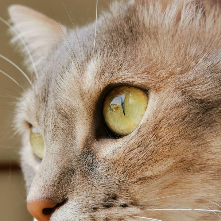 Dd6a3fbb 17ed 4b9e 9374 482962e6b490 1618199088140