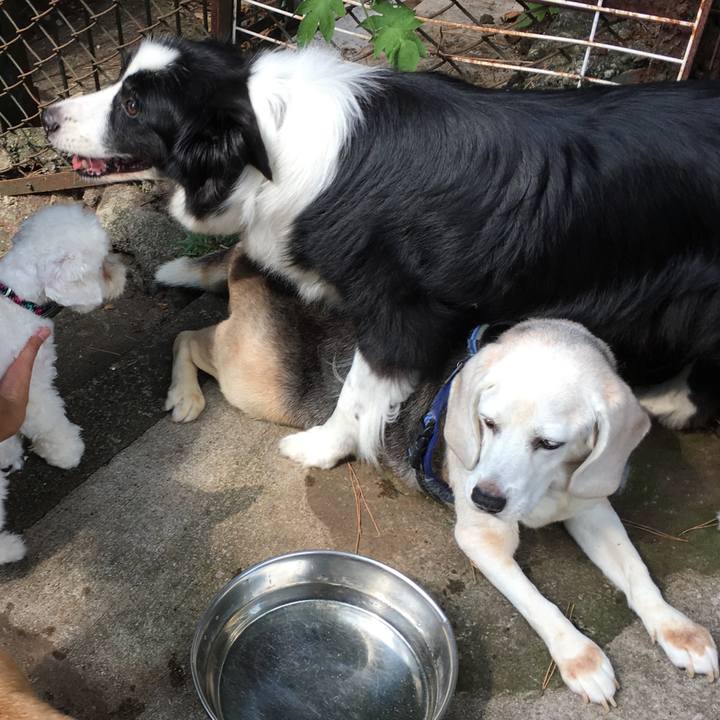 Dd6a43c3 1b7f 4444 a5a7 833f24d79a6c 1531651424572