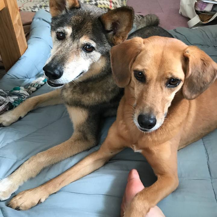 Dd6a5c8b 6202 4e45 8a2a 71da4674763f 1533512800869