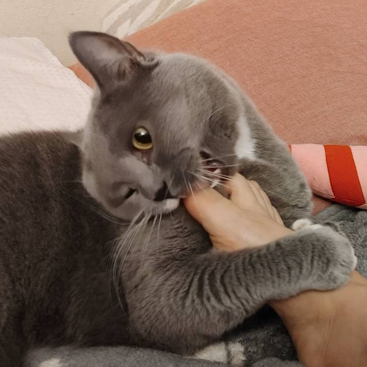 Dd6a8cef 7188 45a5 b683 0f5d80daa918 1620186394993