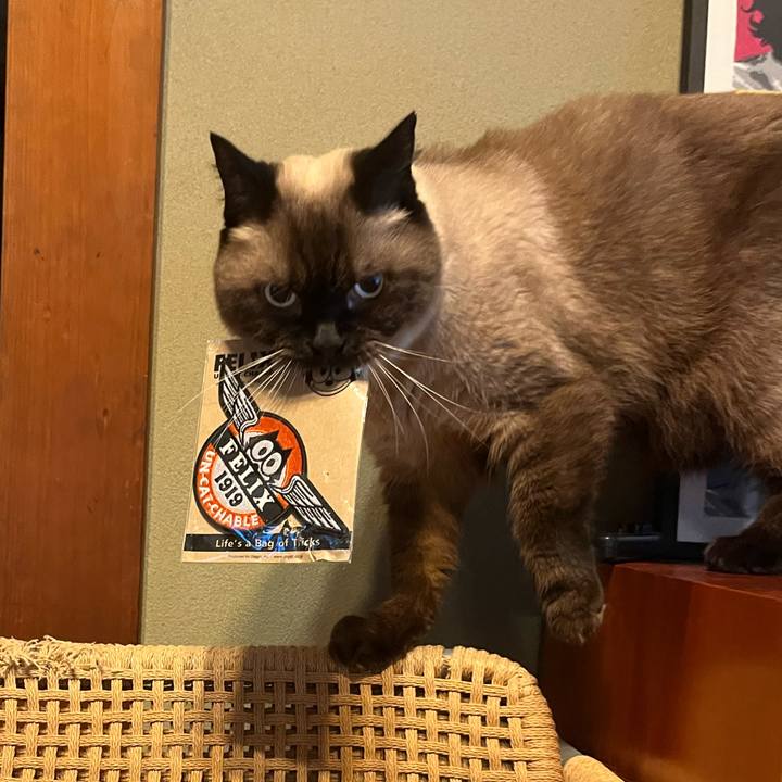 Dd6a9ef1 2202 4863 8e82 c754700c60e6 1725575360887