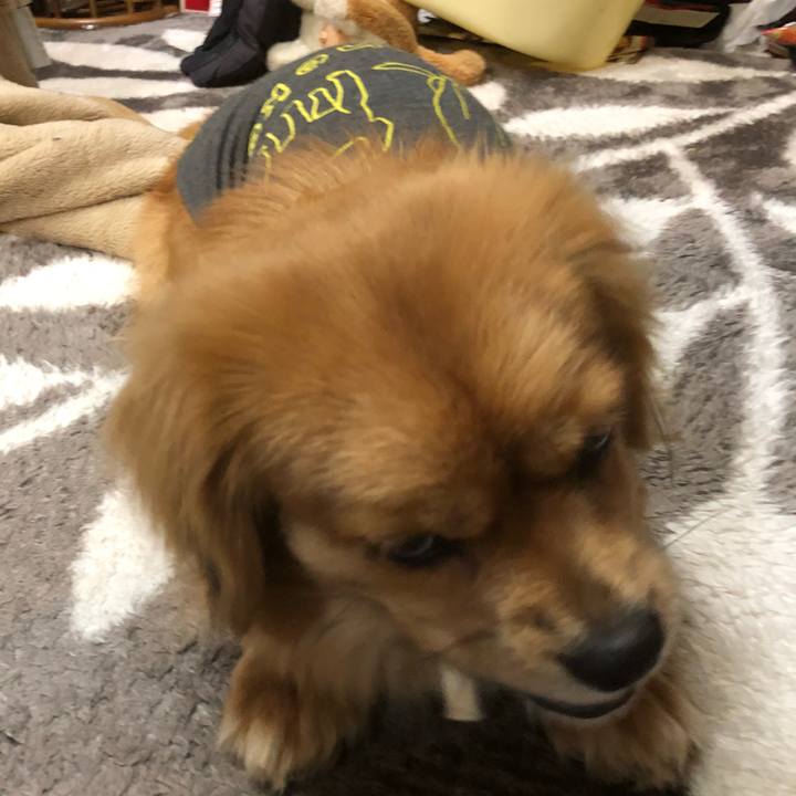 Dd6aa568 c238 42aa ade0 0edc75d798c8 1515618386657