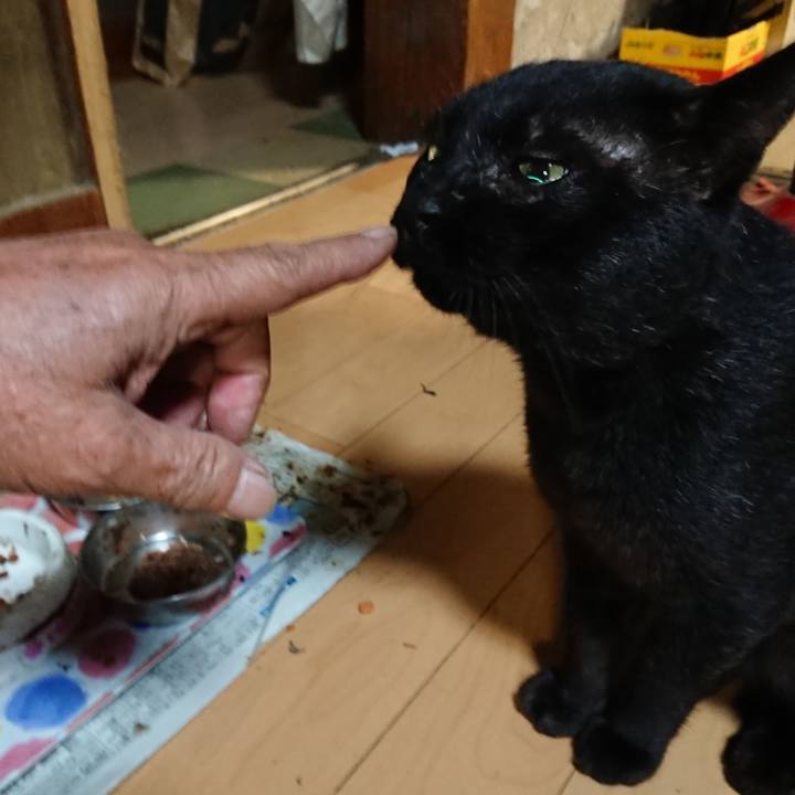 Dd6ad7e8 64f6 4c7b 8d06 4a8e9d2f8ab1 1661770489250