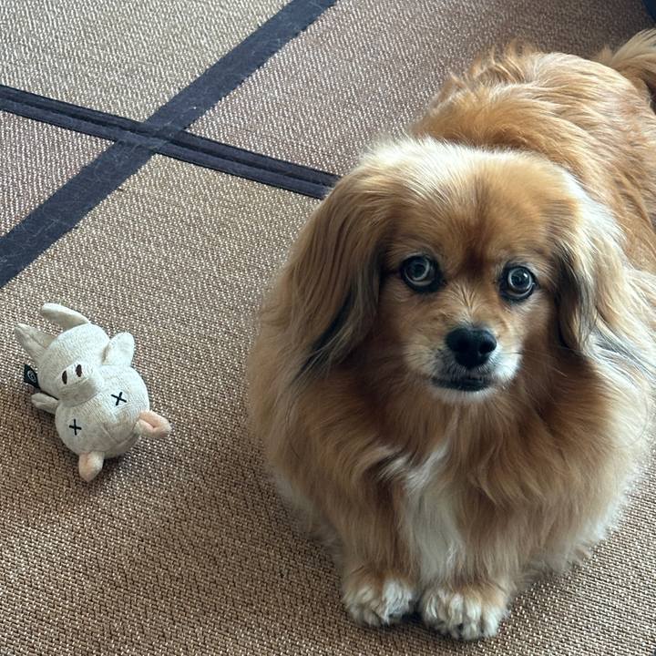 Dd6b13cf c6b1 4b0b ac8b a60f00411379 1746920258323