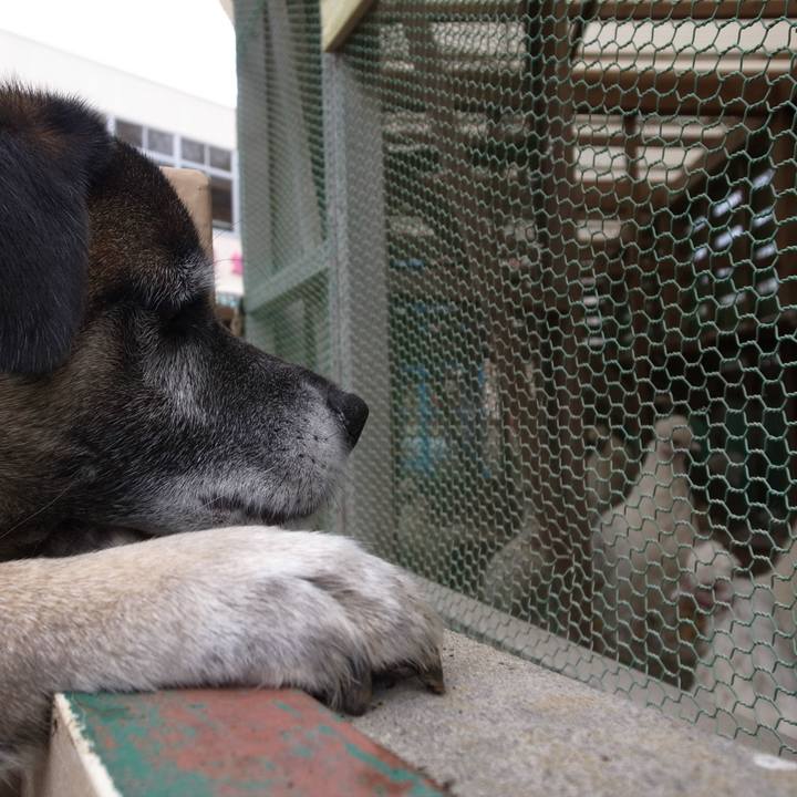 Dd6b2301 8b9b 43d0 b558 6d80690533c1 1584318159667