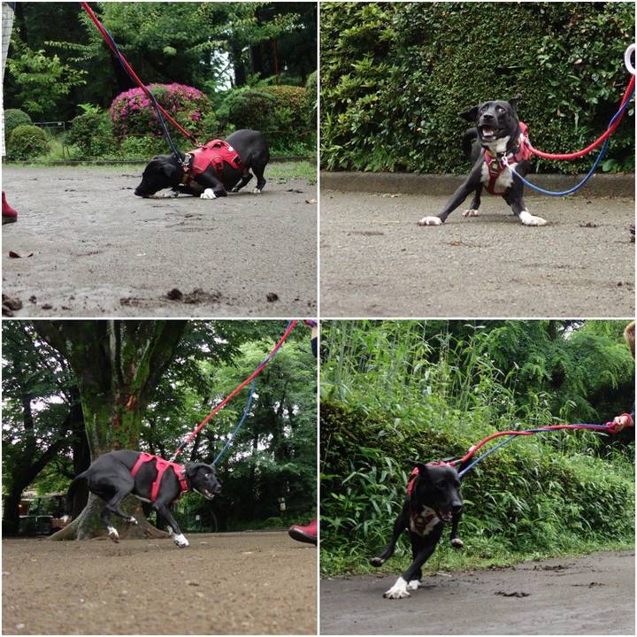 Dd6b34bb a4c7 47b2 8614 70583cd9b6ef 1592544228694