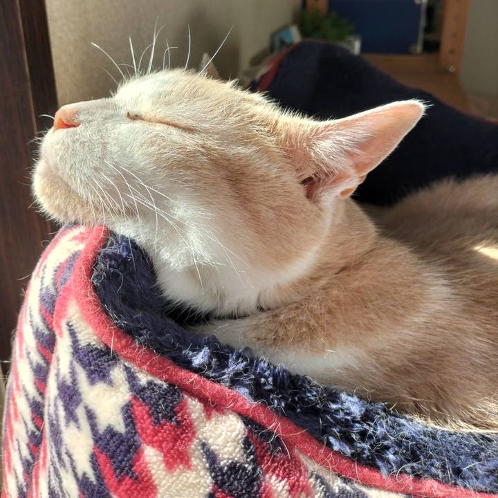 Dd6b45d6 42d2 4fdc a595 a4bc3570ea01 1656542862073