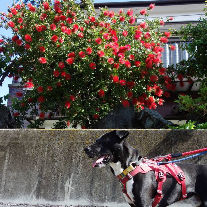 Dd6b8534 3b0e 40f4 a45f 240b9d1eed04 1589679345891