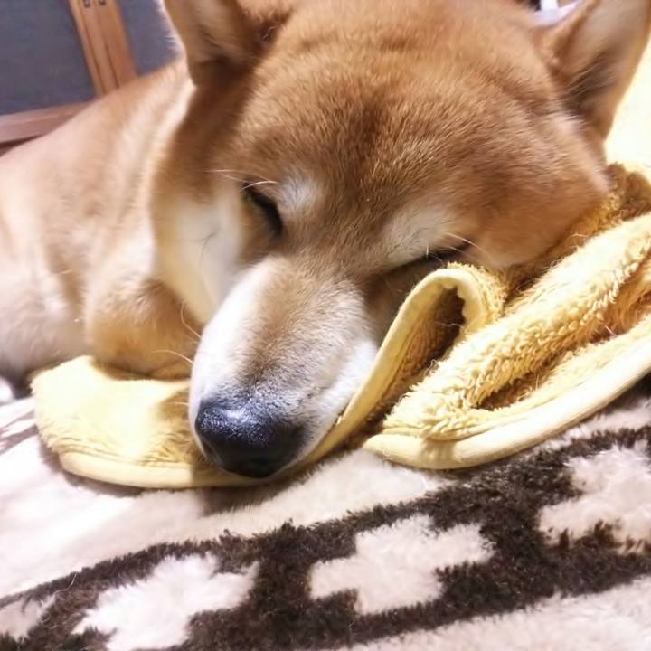 Dd6bb24d c742 47cc a034 b25703625350 1511523413265