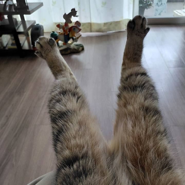 Dd6bd6dc 3fd4 46f4 9289 ab3780cab34e 1773966423684