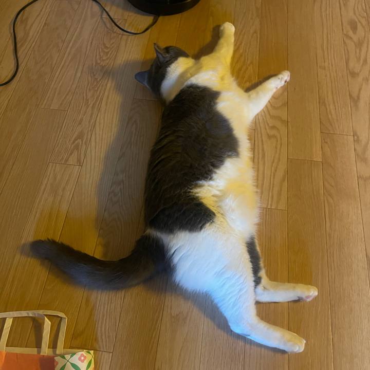 Dd6bf48d 3791 441d 85c8 e7e4e50e573d 1755302277193