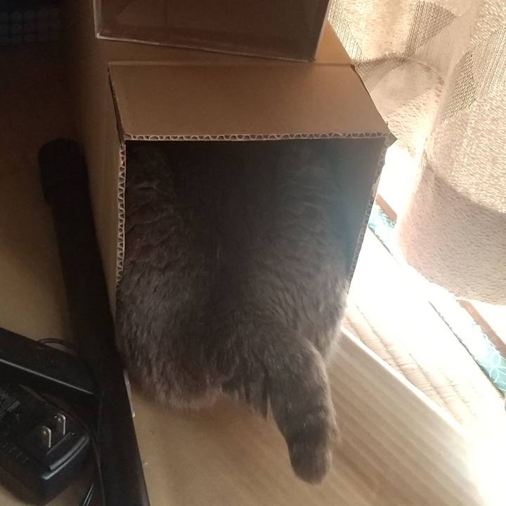 Dd6c0473 bb49 42f2 8f9a 6d354edb581b 1684371299539